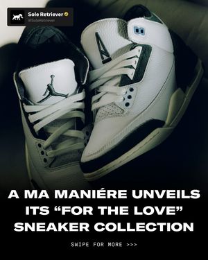 Image post by @soleretriever on Instagram