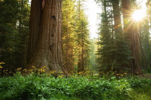 Image post by @nationalparkscollective on Instagram