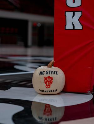 Image post by @packathletics on Instagram