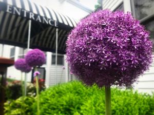 Image post by @themainemag on Instagram