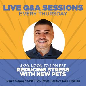 Image post by @petco on Instagram
