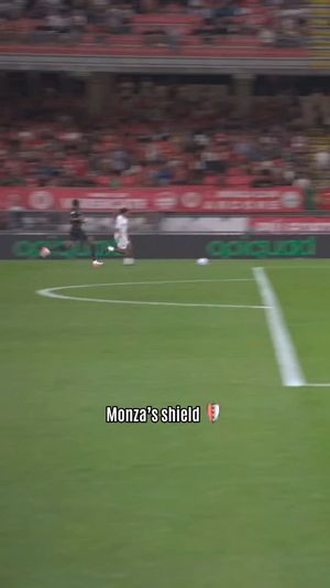 Video post by @seriea on Instagram