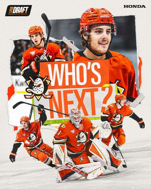 Image post by @anaheimducks on Instagram