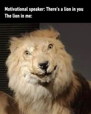 Image post by @9gag on Instagram