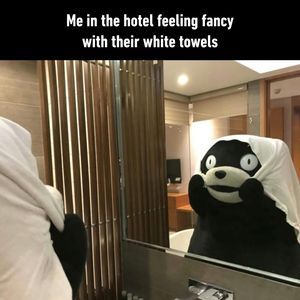 Image post by @9gag on Instagram