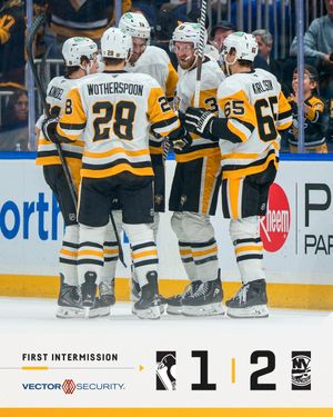 Image post by @penguins on Twitter