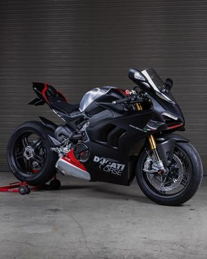 Image post by @panigalers on Instagram