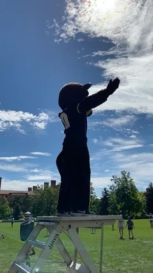 Video post by @chipthebuffalo on Facebook