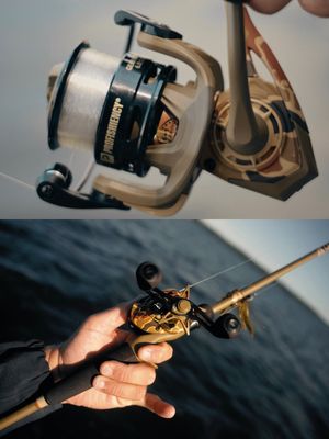 Image post by @profishiency on Instagram