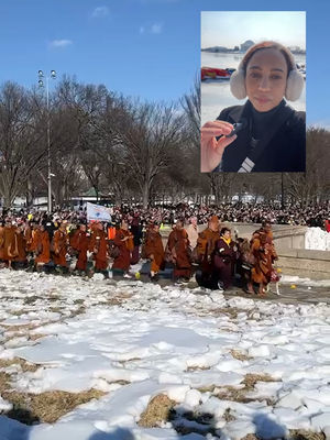 Video post by @usatoday on TikTok