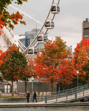 Image post by @mtl_unscripted on Instagram