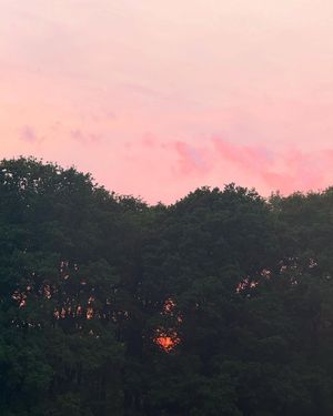 Image post by @lukcorrado on Instagram