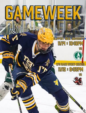 Image post by @wvuhockeyd4 on Instagram