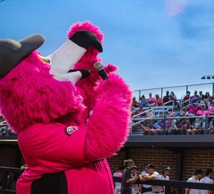 Image post by @floflamingos on Instagram