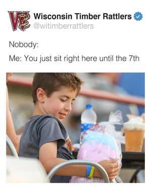 Image post by @witimberrattlers on Instagram