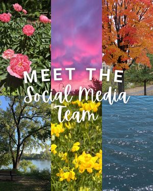 Image post by @mplsdtparks on Instagram
