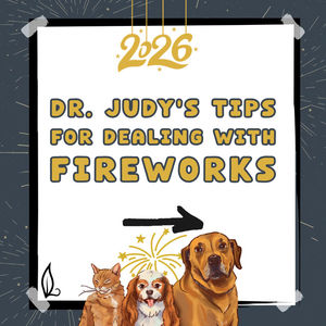 Image post by @drjudymorgan on Instagram