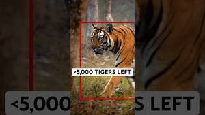 Video post by @clemsonuniversity on YouTube