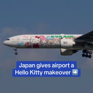 Image post by @dailymail on TikTok