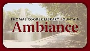 Video post by @uofsc on YouTube