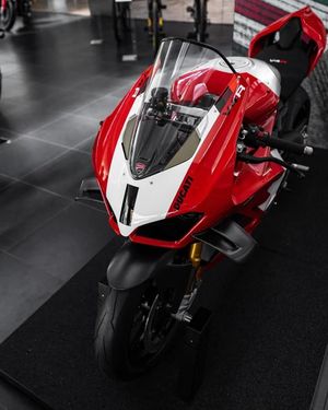 Image post by @panigalers on Instagram
