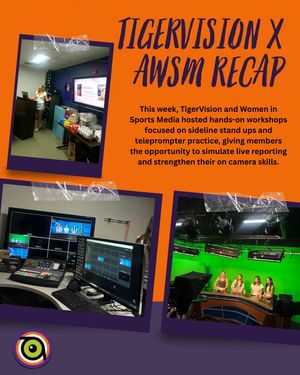Image post by @cutigervision on Instagram