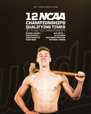 Image post by @purduemswimdive on Instagram