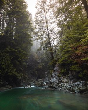 Image post by @bill.yao on Instagram