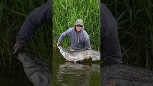 Video post by @jonasederfishing on YouTube