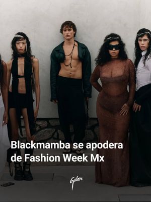 Image post by @galore on Instagram