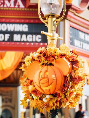 Image post by @waltdisneyworld on Instagram