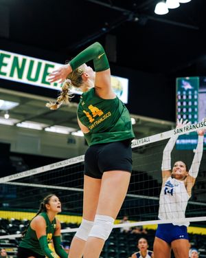Image post by @usfdonsvb on Instagram
