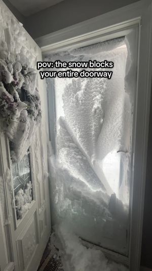 Video post by @nikki_passero on TikTok