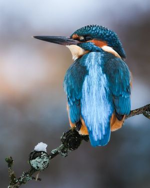 Image post by @fujifilmuk on Instagram