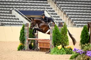 Image post by @kyhorseshows on Instagram
