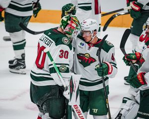 Image post by @minnesotawild on Instagram