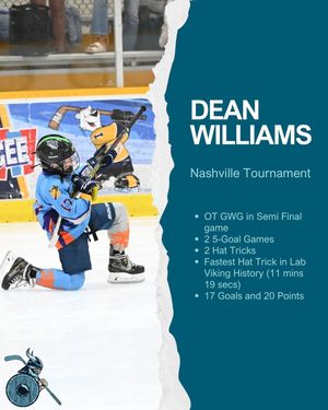 Image post by @thelab_hockey on Instagram