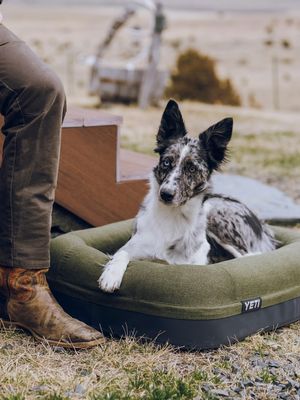 Image post by @yeti on Instagram