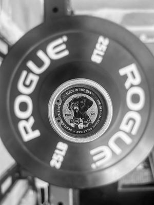 Image post by @roguefitness on Instagram