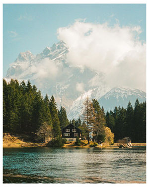 Image post by @kodakprofessional on Instagram