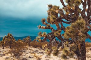 Image post by @martemedia on Instagram