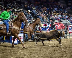 Image post by @nationalwestern on Instagram