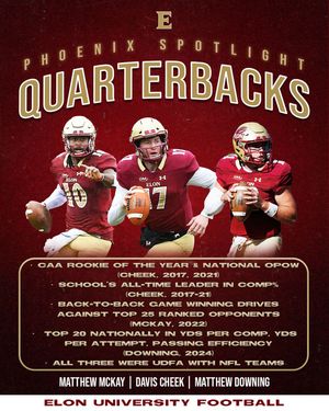 Image post by @elonfb on Instagram
