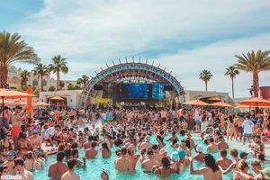 Image post by @bassrush on Instagram
