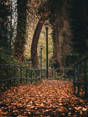 Image post by @tannenrobertsmedia on Instagram