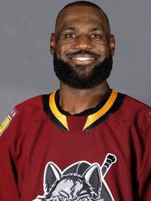Image post by @Chicago_Wolves on Twitter