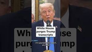 Video post by @msnbc on YouTube