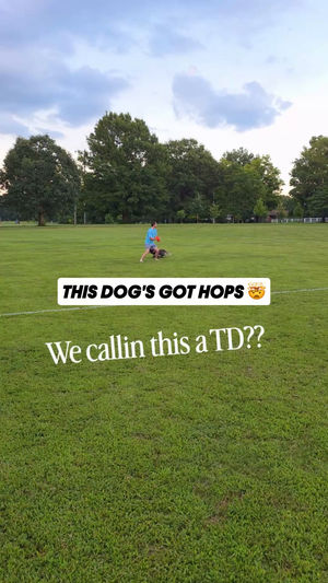 Video post by @nflonprime on TikTok
