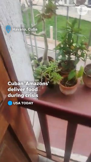 Video post by @usatoday on TikTok