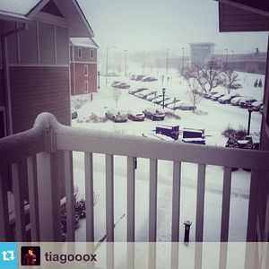 Image post by @kansasstateuniversity on Instagram